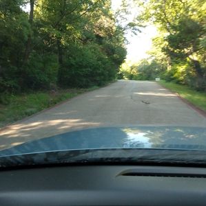 Meet your Posher, Norma moreira